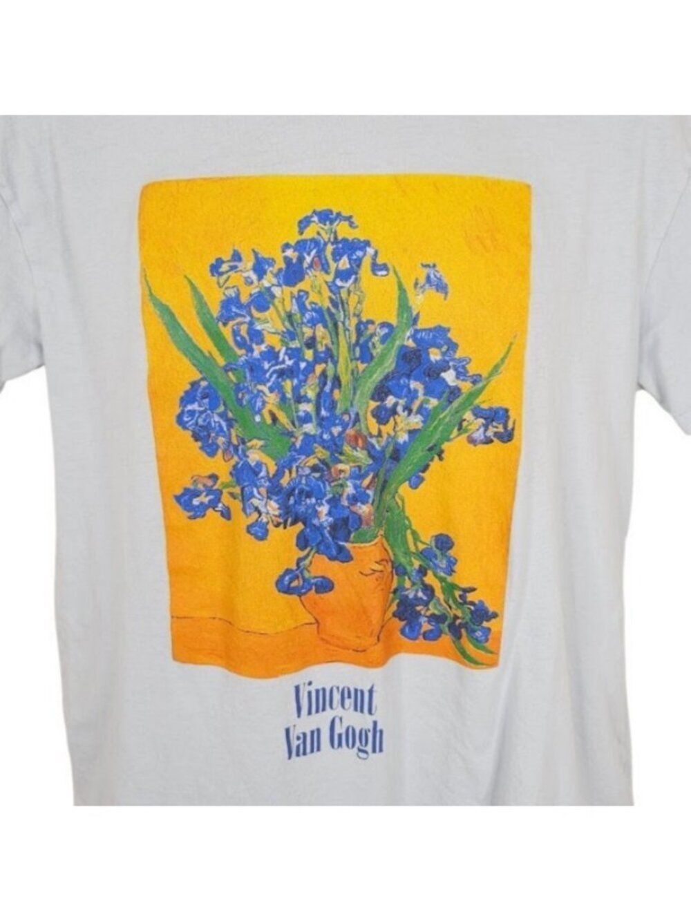 Vincent Van Gogh T Shirt Mens Size XS Blue Irises Painting OVERSIZED Art Tee